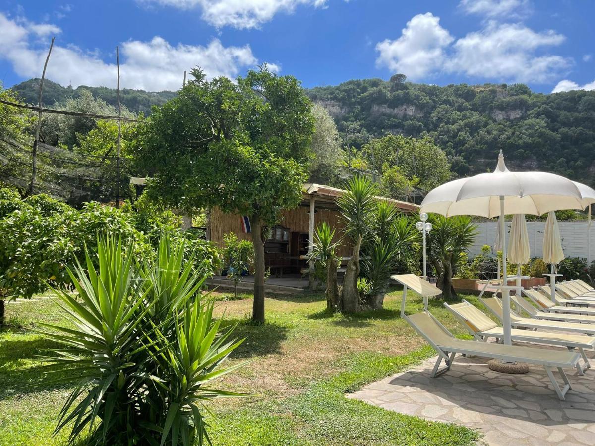 Casa Sorrento, Immerso Nel Verde A Pochi Passi Dal Centro Exterior foto