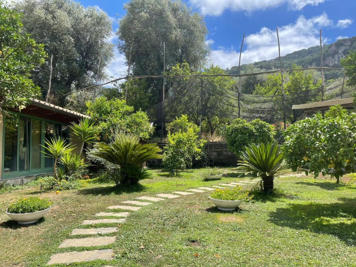 Casa Sorrento, Immerso Nel Verde A Pochi Passi Dal Centro Exterior foto